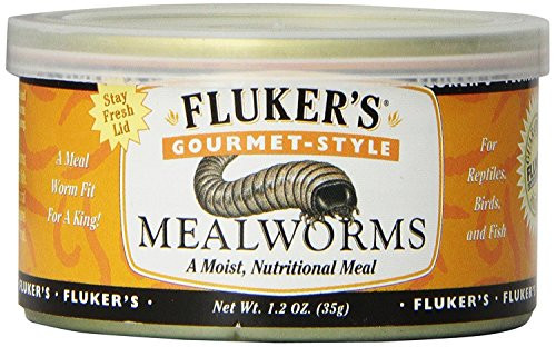 Fluker's Gourmet Mealworms Canned Food