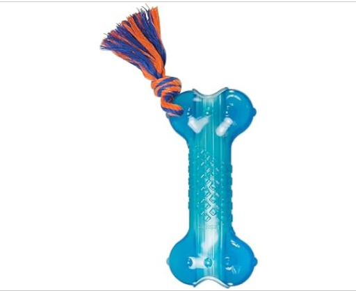 Petstages Orka Bone Treat-Dispensing Dog Chew Toy