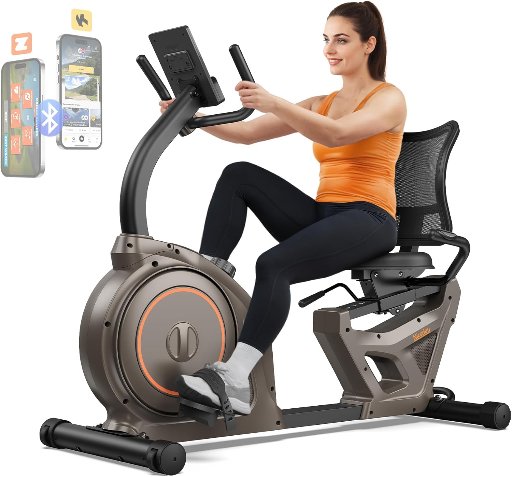 Niceday Recumbent Exercise Bike with Smart App