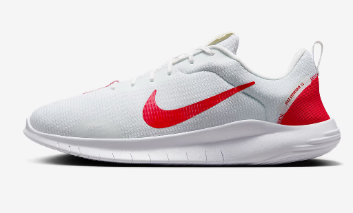 Nike Men's Flex Experience Run 12 Running Shoes