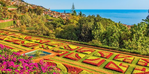 12-Night Canary Islands Christmas Celebration Cruise