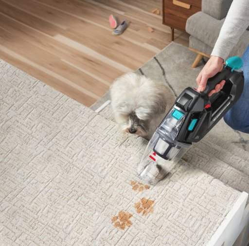 Bissell Pet Stain Eraser Duo Deluxe