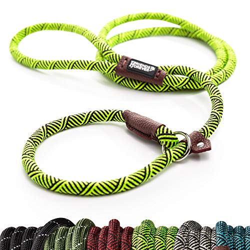 6' Friends Forever Extremely Durable Dog Rope Leash