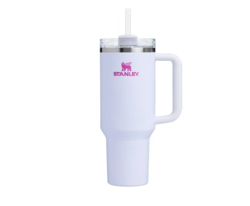 Stanley Quencher H2.0 FlowState Tumbler