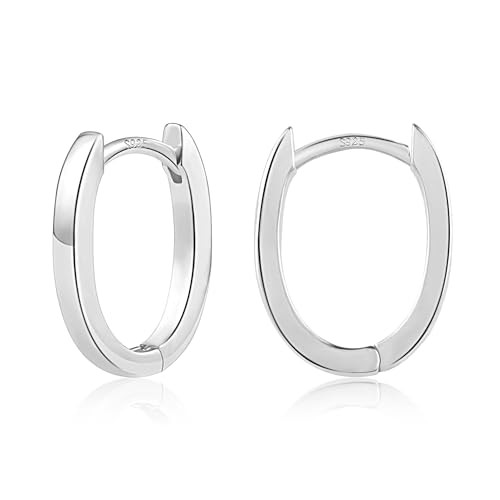 ALEXCRAFT Small Chunky Silver Earrings
