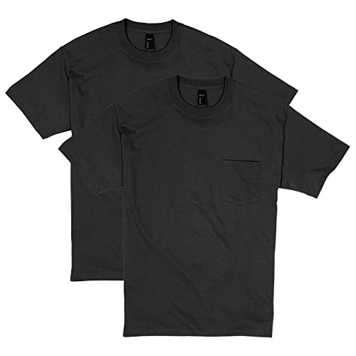2-Pack Hanes Men's 100% Ringspun Cotton Heavyweight Pocket T-Shirt