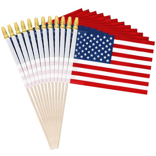 12 Pcs Small American Flags