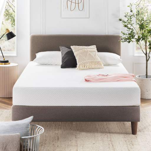 Wayfair Sleep 10 Inch Medium Memory Foam Mattress
