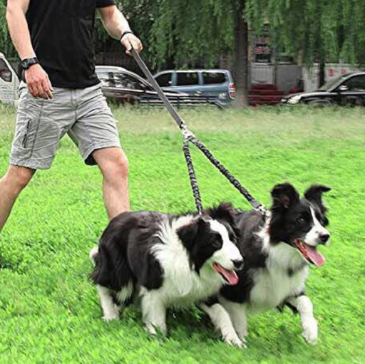 Waloo Pets Double Dog Bungee Dog Leash