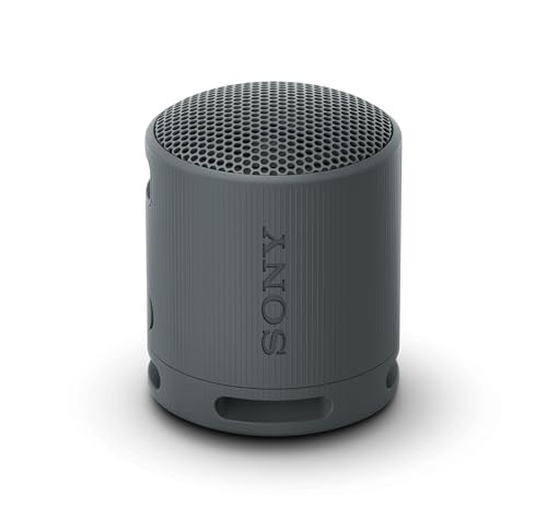 Sony SRS-XB100 Portable Bluetooth Speaker