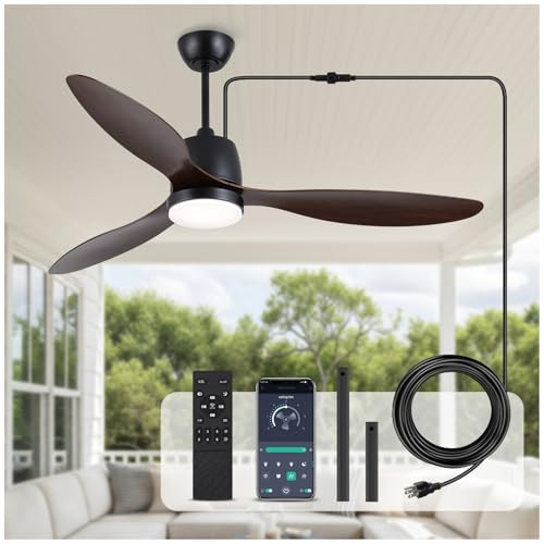 Outdoor Ceiling Fan with Light