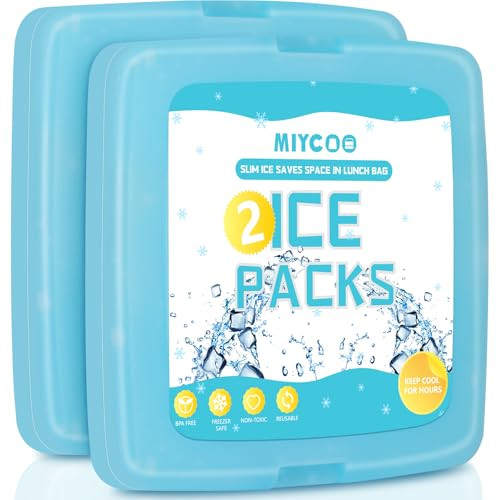 Ice Packs - 2 pack