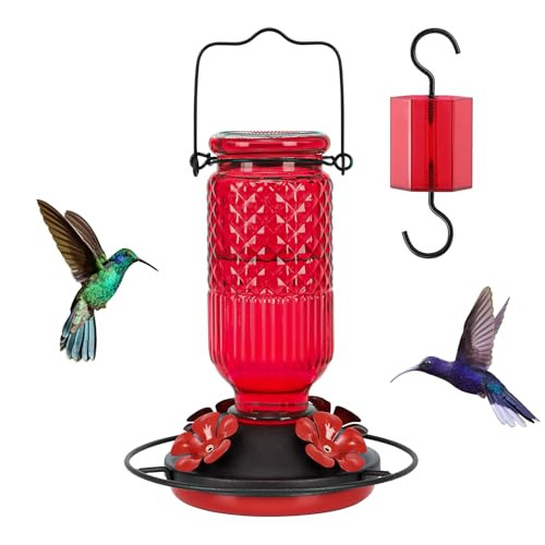 Glass Hummingbird Feeder