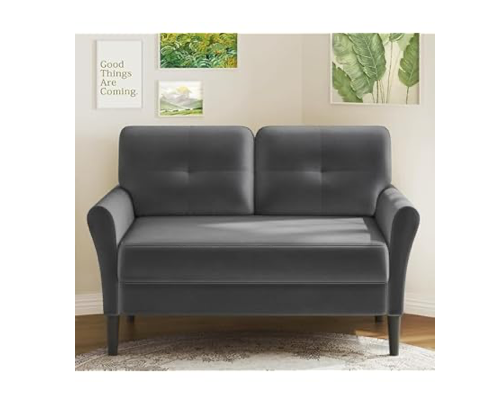 Kidirect Loveseat/Sofa Couch, 48"