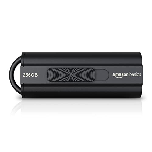 Amazon Basics 256 GB USB 3.1 High Capacity Flash Drive