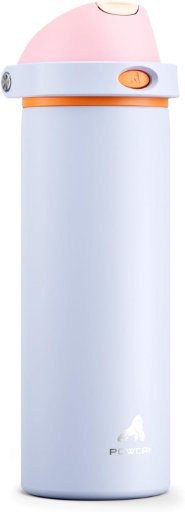Insulated Stainless Steel Sports Water Bottle