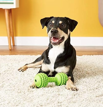 JW Pet Chompion Heavyweight Dog Chew Toy