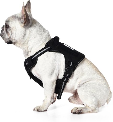 Amazon Basics No Pull Dog Harness