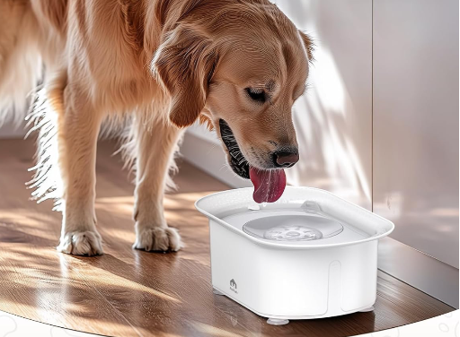 Petpath Auto Pet Water Bowl