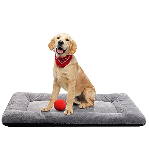 Dog Bed for Medium/Large Dogs