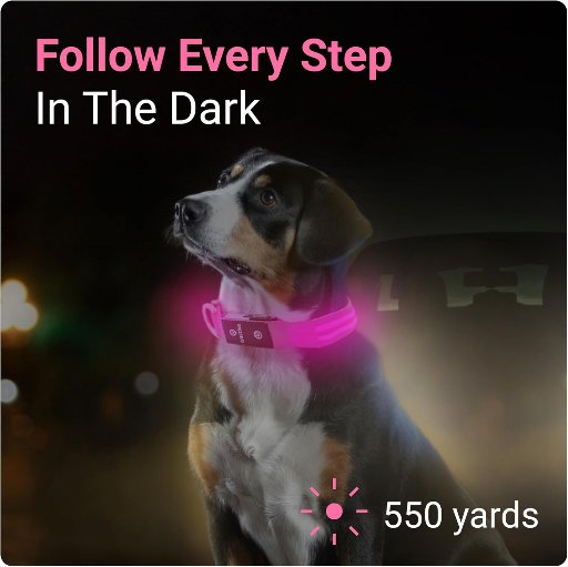 Tractive LED Light Up Dog Collar