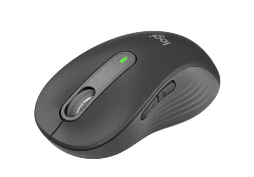 Logitech Signature M650 L Full-Size Wireless Scroll Mouse