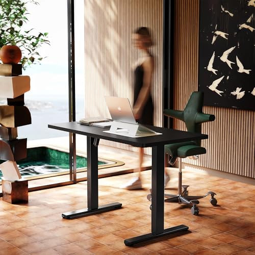  48 Inch Electric Standing Desk