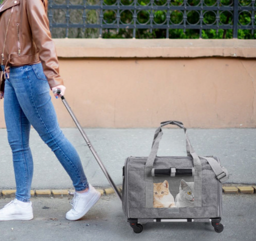Rolling Pet Carrier by iMounTEK