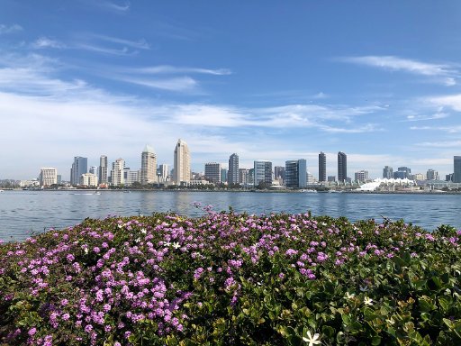 Roundtrip Tampa to San Diego Airfare