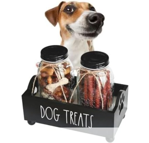 Pet Treat Bin with Glass Jars