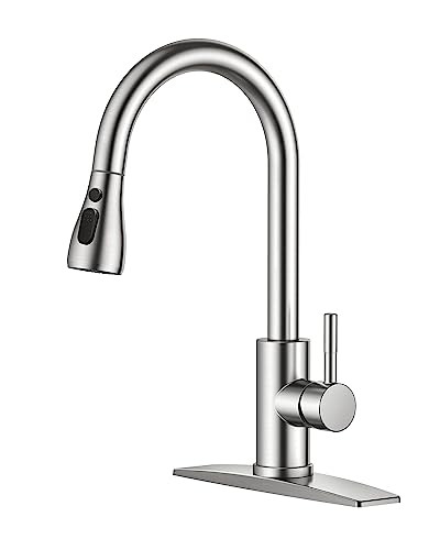 Forious Kitchen Faucet with Pull Down Sprayer