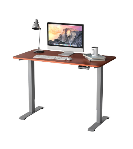 48-Inch Electric Height-Adjustable Standing Desk