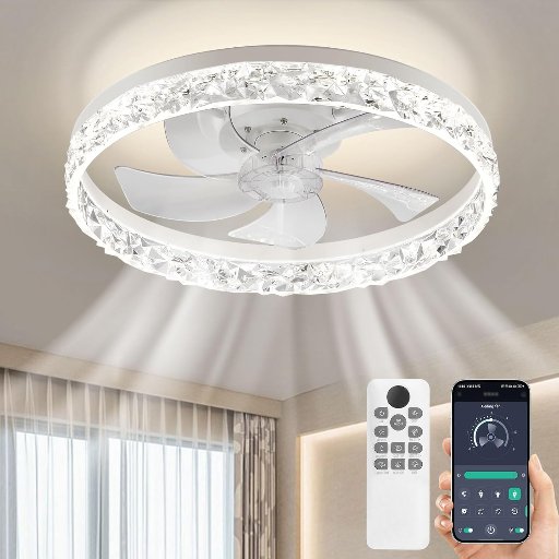 20" Ceiling Fan Light with Remote & App Control