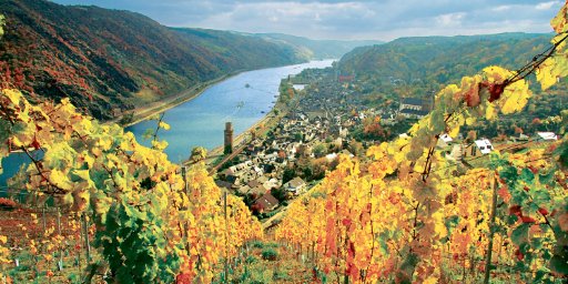 8-Day Luxury River Cruise - Castles Along the Rhine
