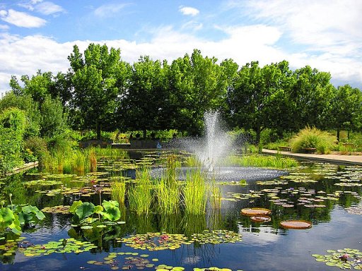 Roundtrip Nonstop Airfare between Albuquerque and Denver