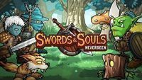Sword & Souls: Neverseen for the PC