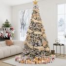 Christmas Trees Sale
