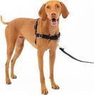 PetSafe Easy Walk No-Pull Dog Harness - The Ultimate Harness to Help Stop Pulling