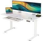YDN 55"x24" Standing Desk with Drawers
