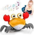 Crawling Crab Baby Toy