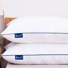 Set of 2 QuTool Down Alternative Hotel Quality Queen Size Pillows