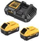 DEWALT 20-V 2-Pack Lithium-ion Battery and Charger (8 Ah)
