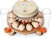 Innsky 12 Egg Incubator with Humidity and Temperature Control