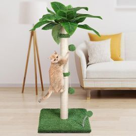 Cat Scratch Post with Spring Ball