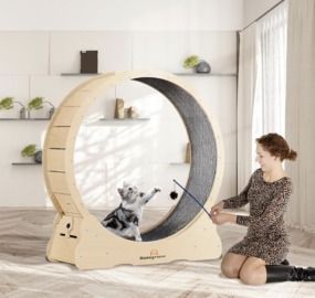 Homegroove 45" Cat Exercise Wheel