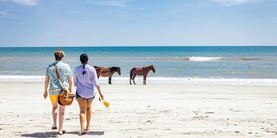 Up To 60% Off North Carolina Stays & Attractions