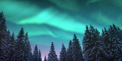 9-Day Finland Northern Lights Tour w/ Optional Discounted Flight Add-On