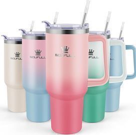 40 oz Tumbler with Handle and Straw Lid