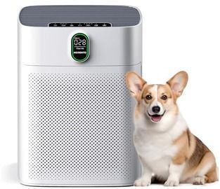 Morento Air Purifier