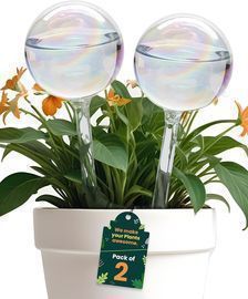 2 Pack Iridescent Self Watering Globes